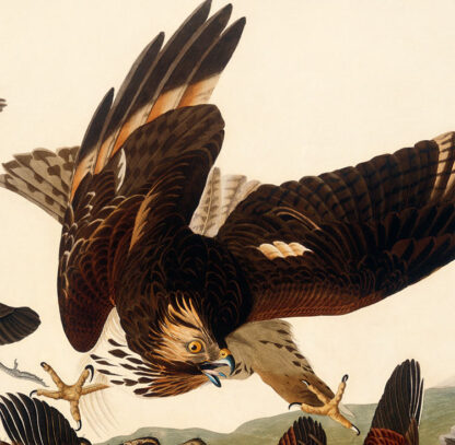 Virginia Partridge - Image 3